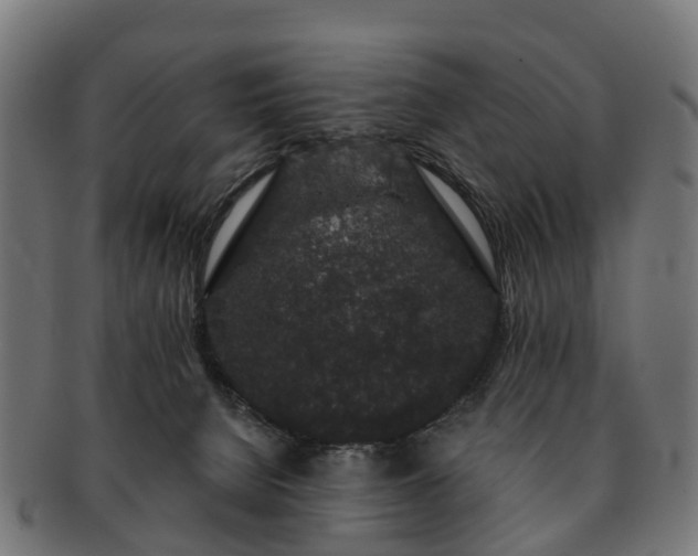 X0000091330080200708241210