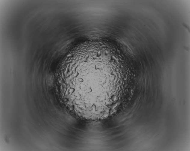 X0000091330081200708241210