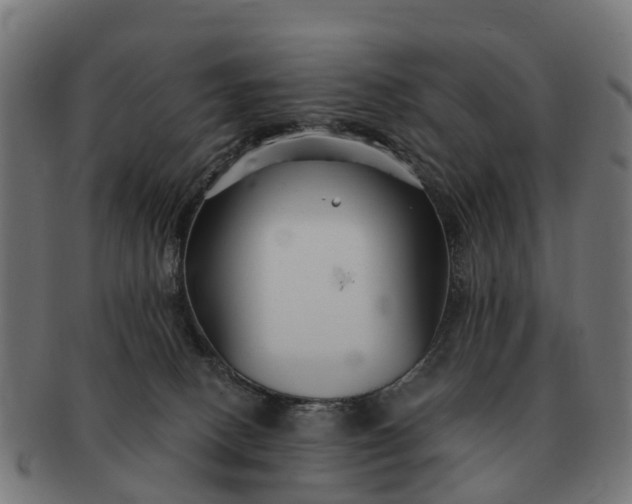 X0000091330082200708241210