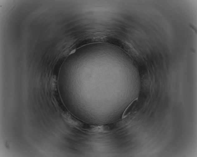 X0000091330083200708241210