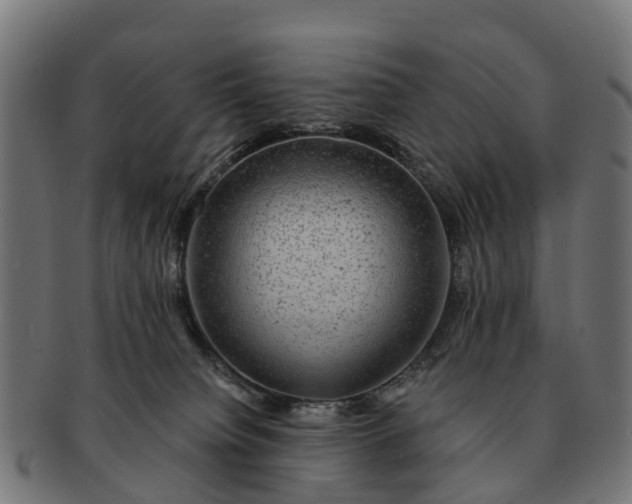 X0000091330084200708241210