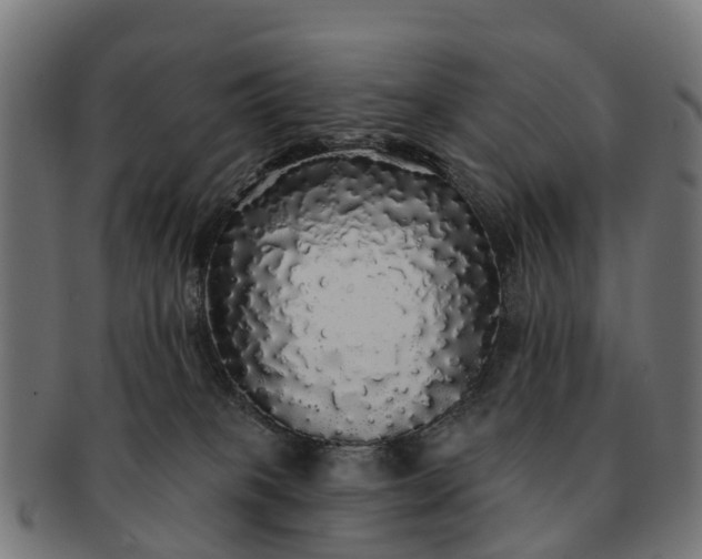 X0000091330085200708241210