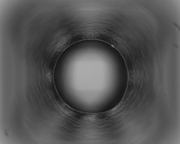 X0000091330086200708241210