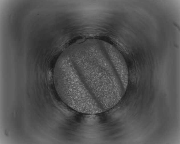 X0000091330087200708241210