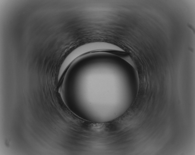 X0000091330088200708241210