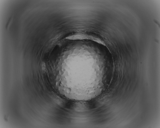 X0000091330089200708241210