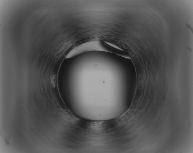 X0000091330090200708241210