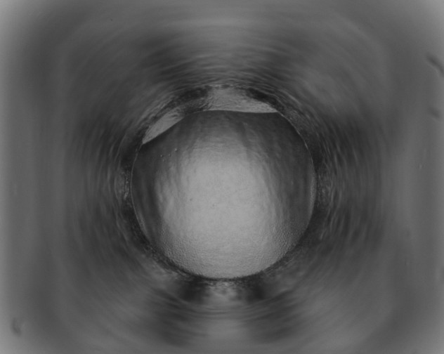 X0000091330091200708241210