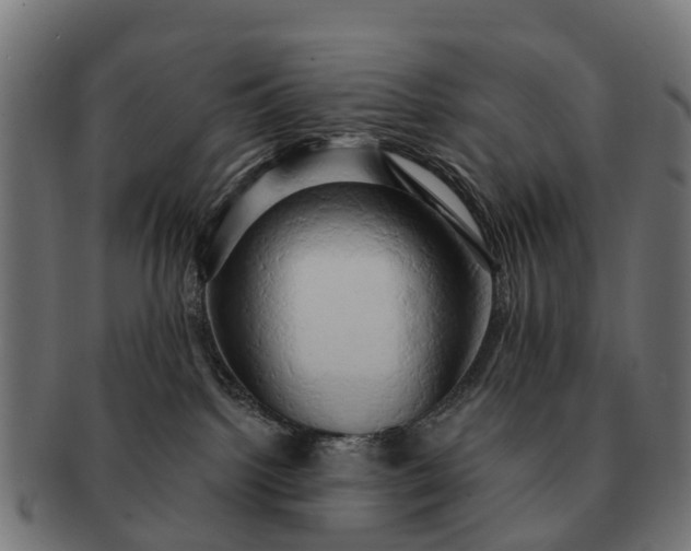 X0000091330092200708241210