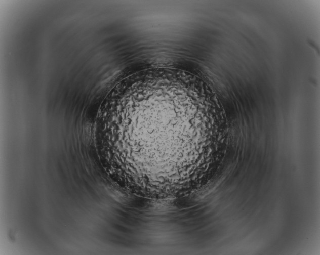 X0000091330093200708241210