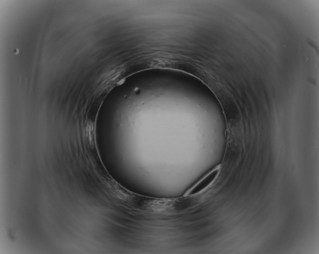 X0000091330094200708241210