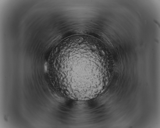 X0000091330095200708241210