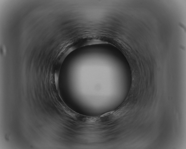 X0000091330096200708241210