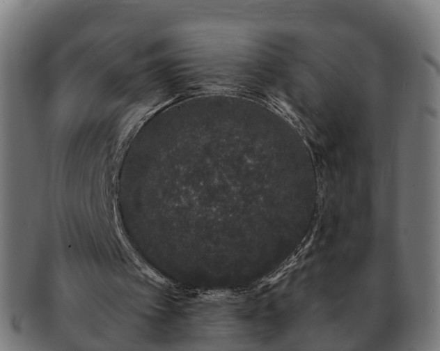 X0000091330097200708241210