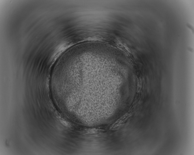 X0000091330098200708241210