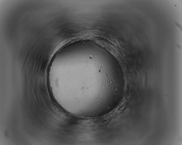 X0000091330100200708241210