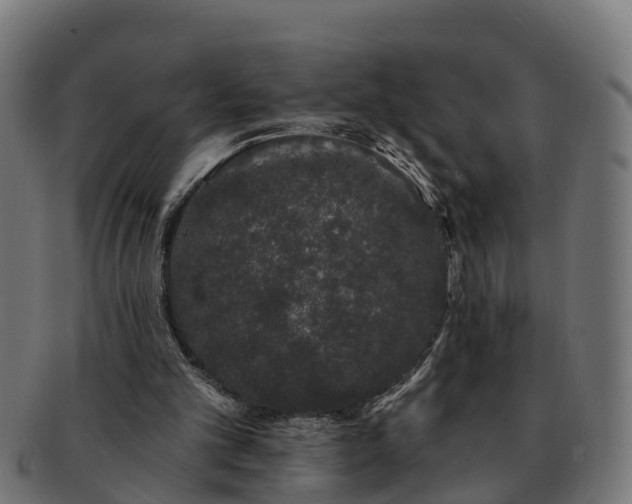 X0000091330101200708241210