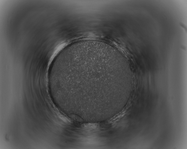 X0000091330102200708241210