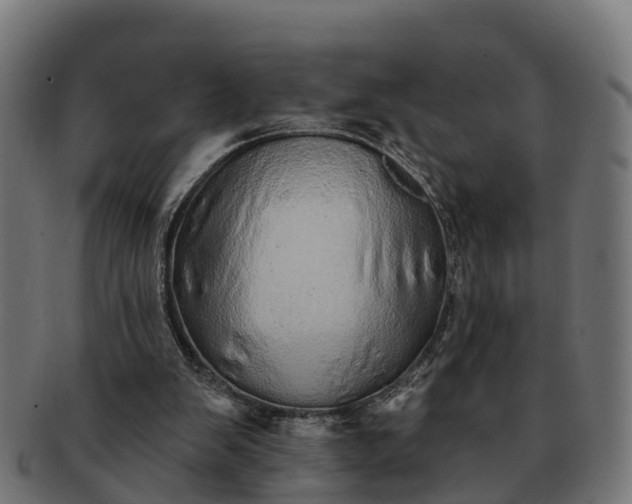 X0000091330103200708241210