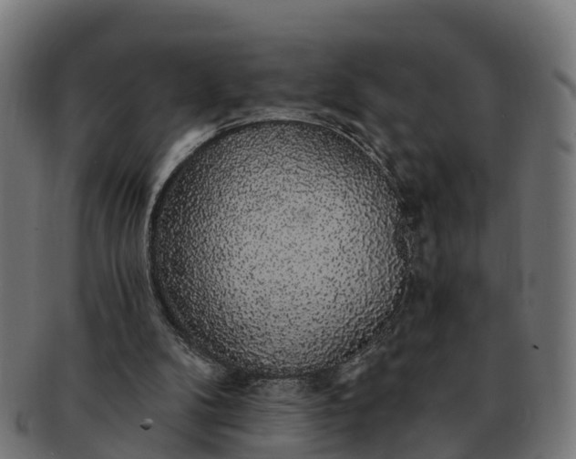 X0000091330104200708241210