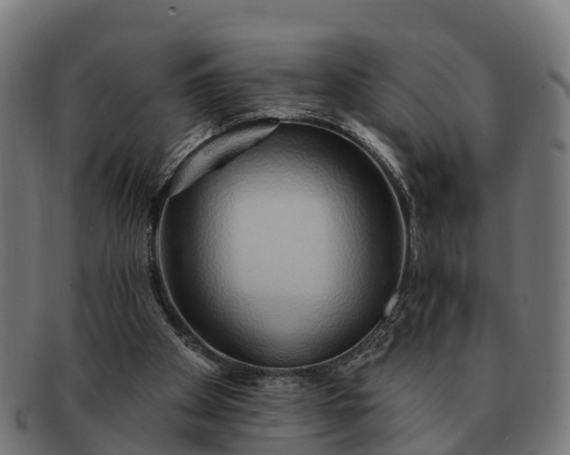 X0000091330105200708241210