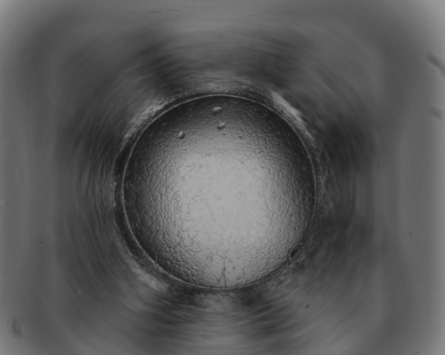 X0000091330106200708241210