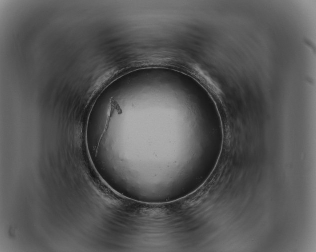 X0000091330107200708241210