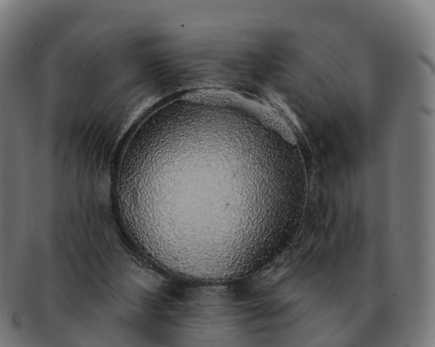 X0000091330108200708241210