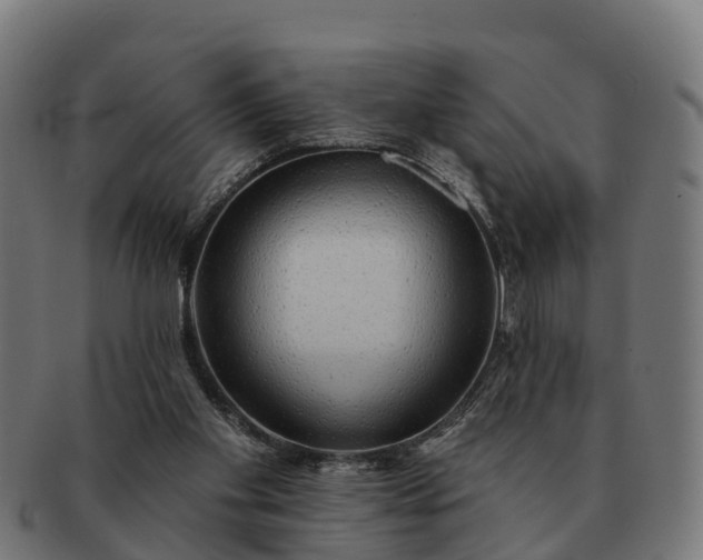 X0000091330109200708241209