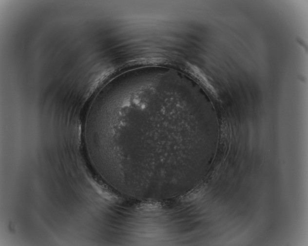 X0000091330110200708241209