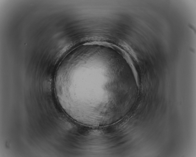 X0000091330111200708241209