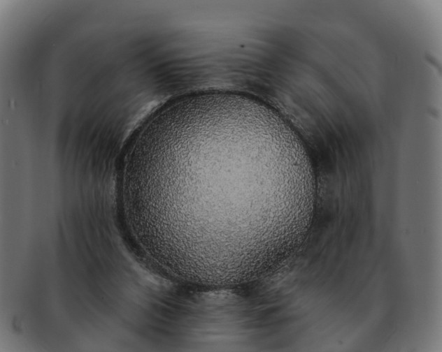 X0000091330112200708241209