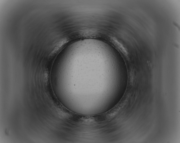 X0000091330113200708241209