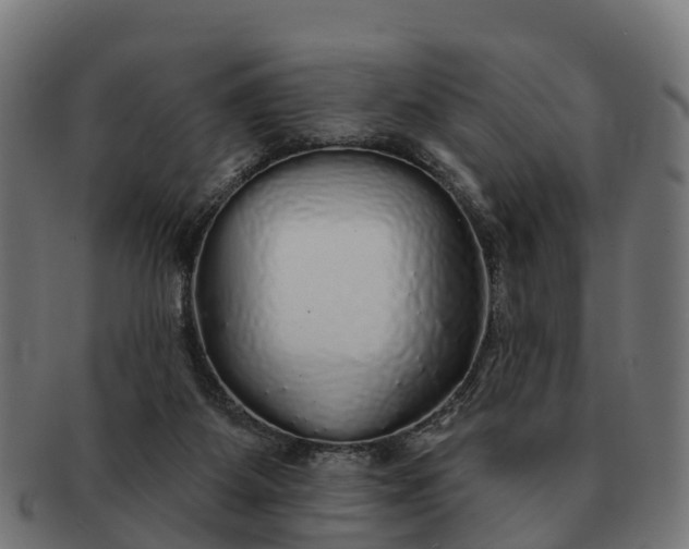 X0000091330115200708241209