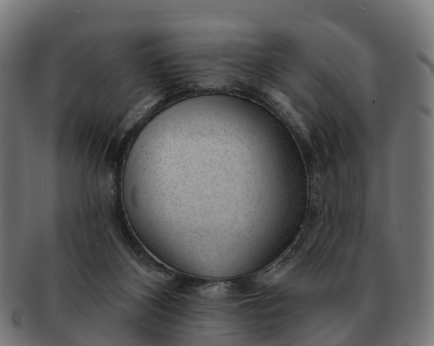 X0000091330116200708241209