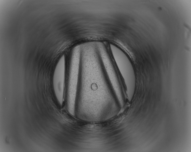 X0000091330117200708241209