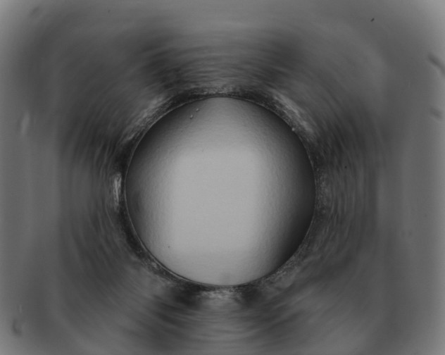 X0000091330118200708241209