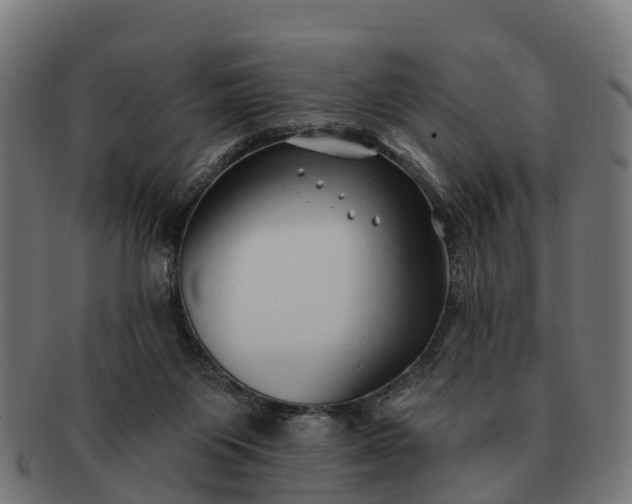 X0000091330119200708241209