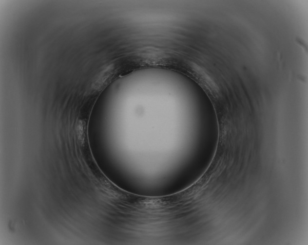 X0000091330121200708241209