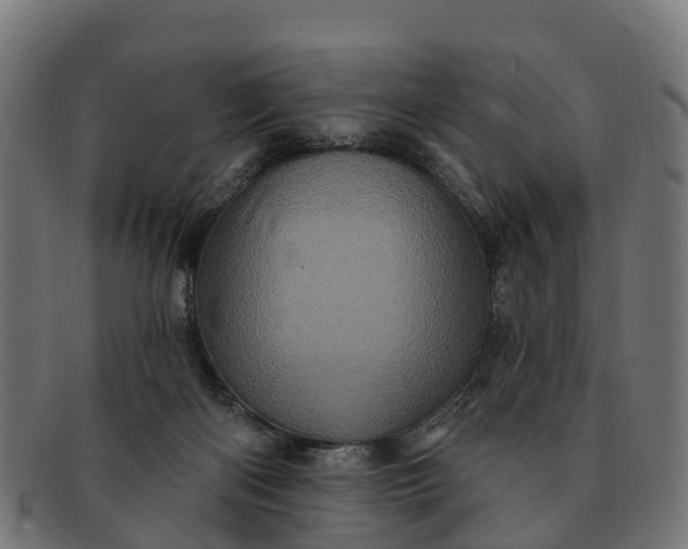 X0000091330122200708241209