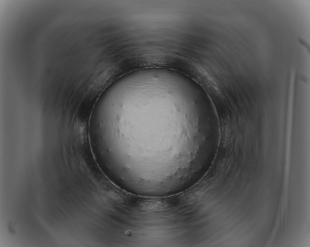 X0000091330123200708241209