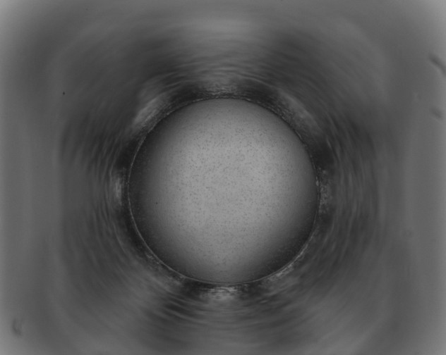 X0000091330124200708241209