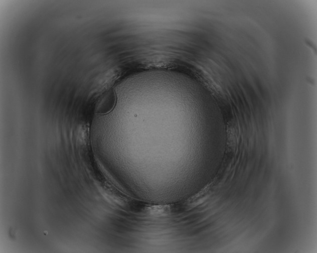 X0000091330126200708241209