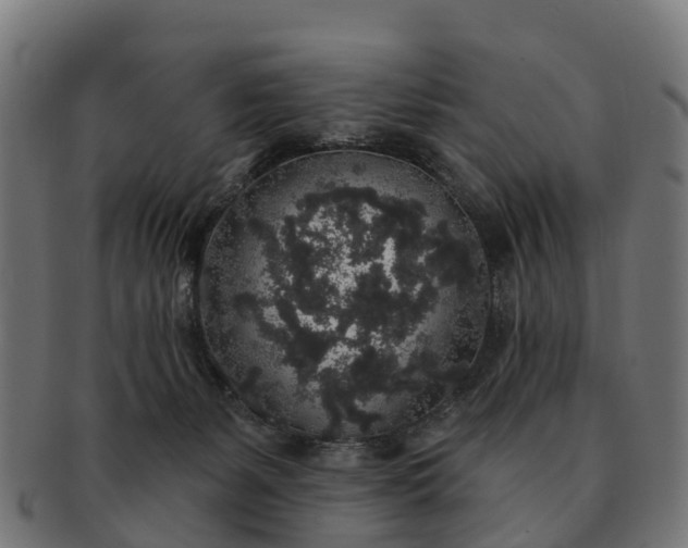 X0000091330127200708241209