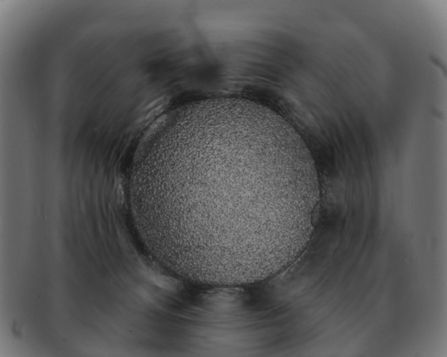 X0000091330128200708241209