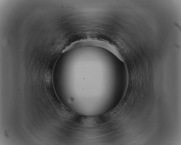 X0000091330129200708241209