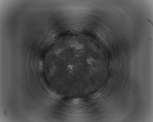 X0000091330130200708241209