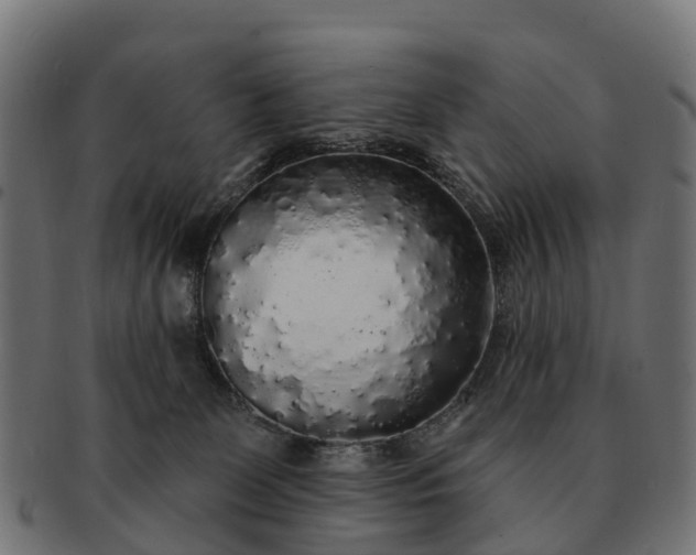 X0000091330131200708241209