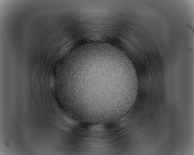 X0000091330132200708241209