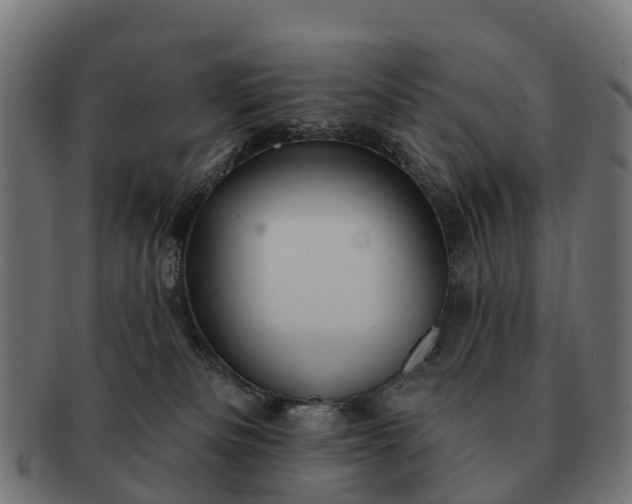 X0000091330133200708241209